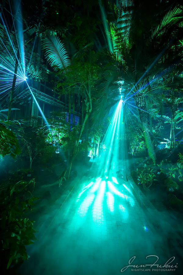 京都府立植物園 ナイトスケープ
