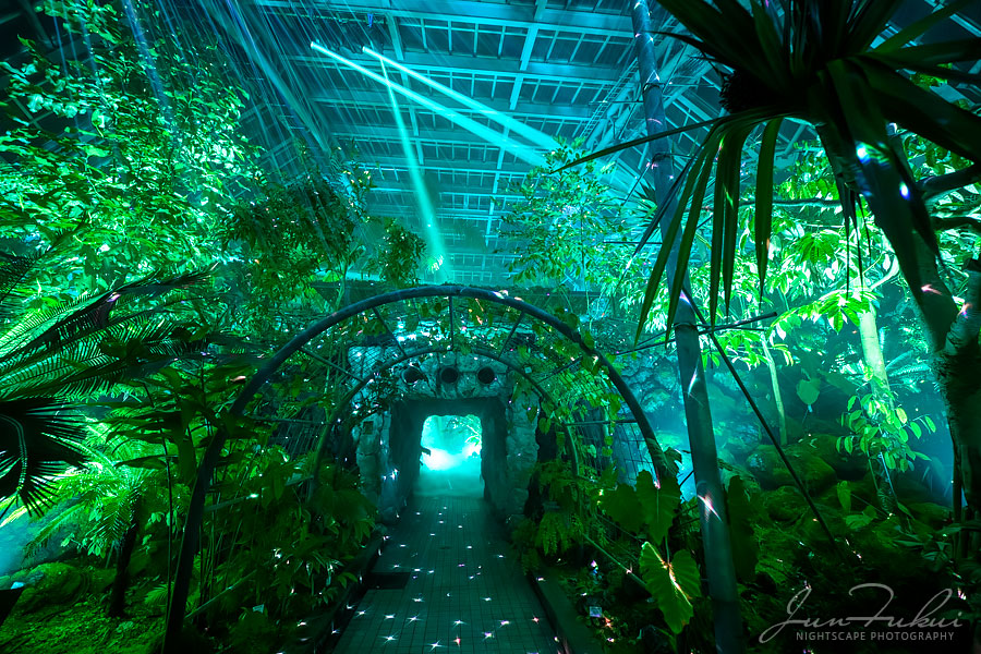京都府立植物園 ナイトスケープ