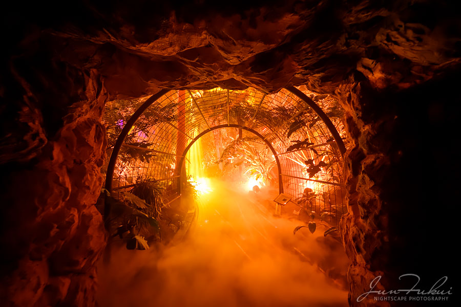 京都府立植物園 ナイトスケープ