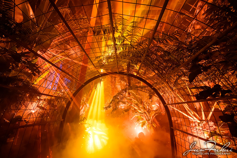 京都府立植物園 ナイトスケープ
