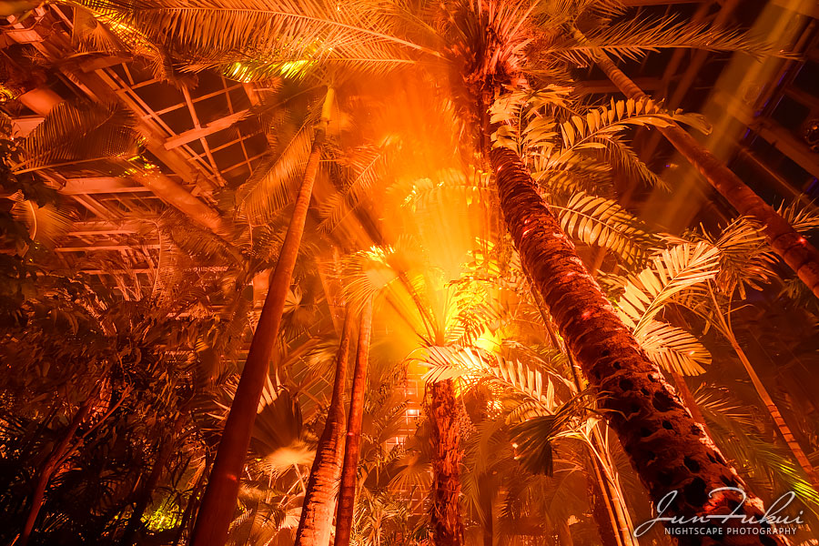 京都府立植物園 ナイトスケープ