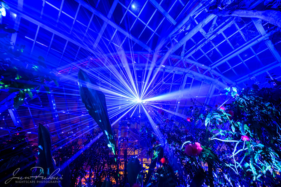 京都府立植物園 ナイトスケープ