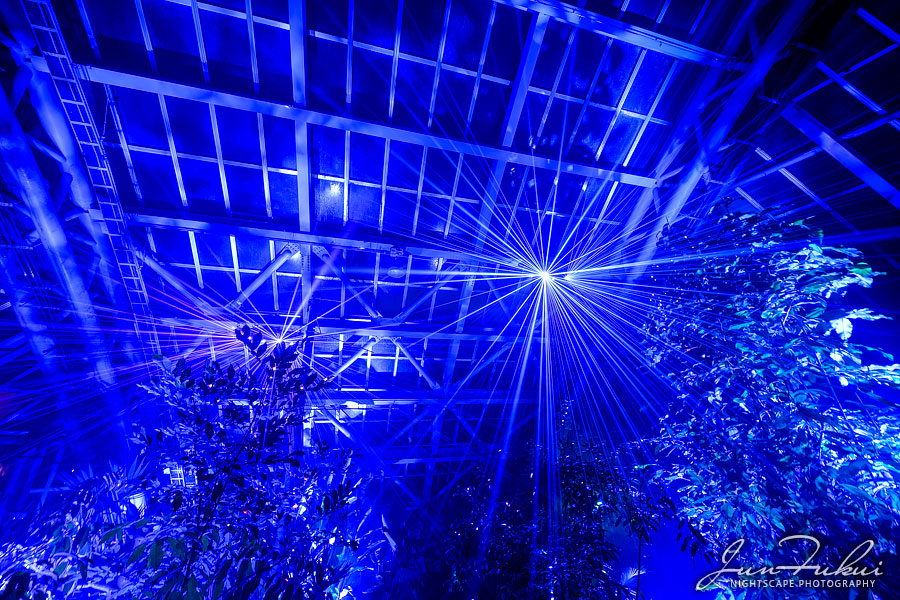 京都府立植物園 ナイトスケープ