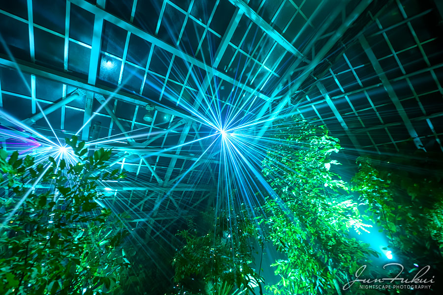 京都府立植物園 ナイトスケープ