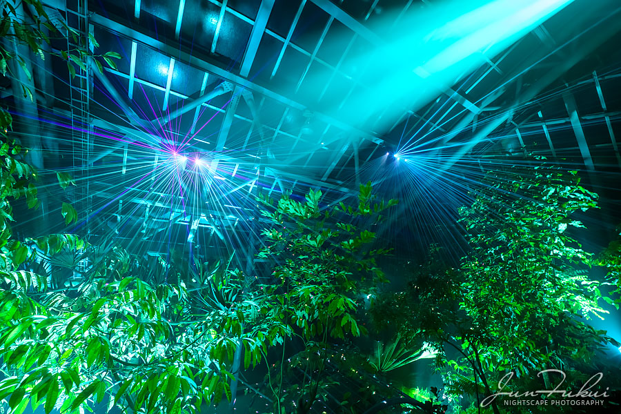 京都府立植物園 ナイトスケープ