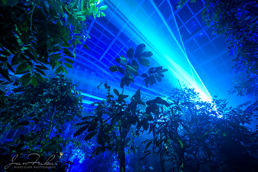 京都府立植物園 ナイトスケープ