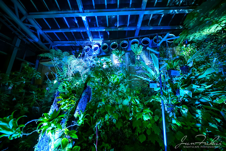 京都府立植物園 ナイトスケープ