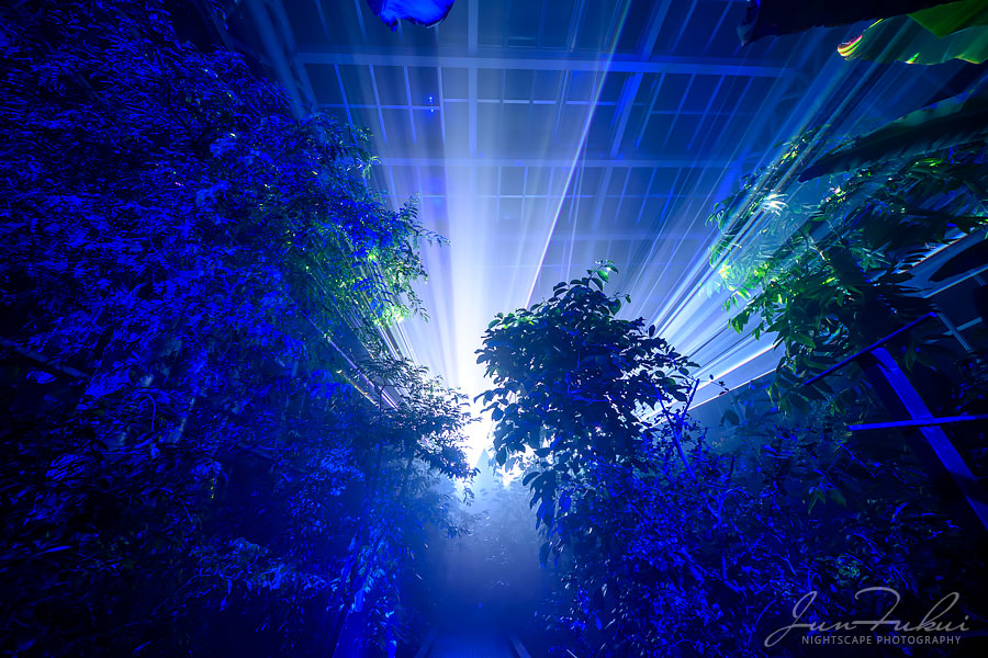 京都府立植物園 ナイトスケープ