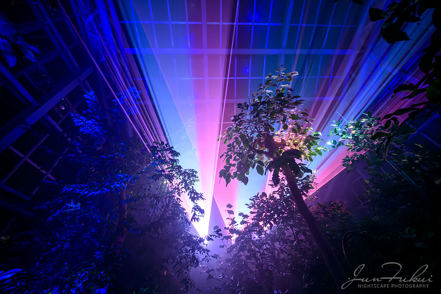 京都府立植物園 ナイトスケープ