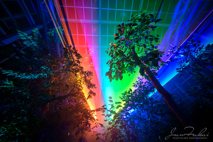 京都府立植物園 ナイトスケープ