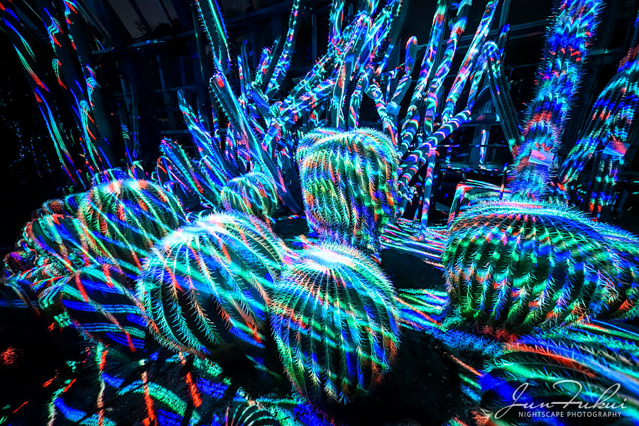 京都府立植物園 ナイトスケープ