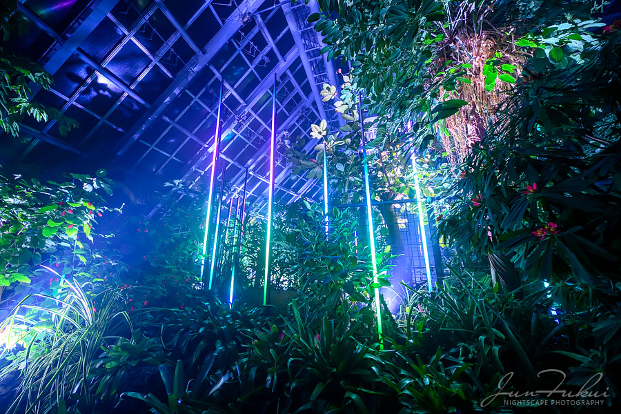 京都府立植物園 ナイトスケープ