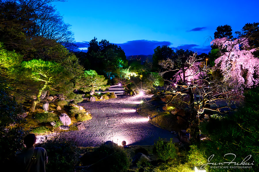 知恩院 ナイトスケープ