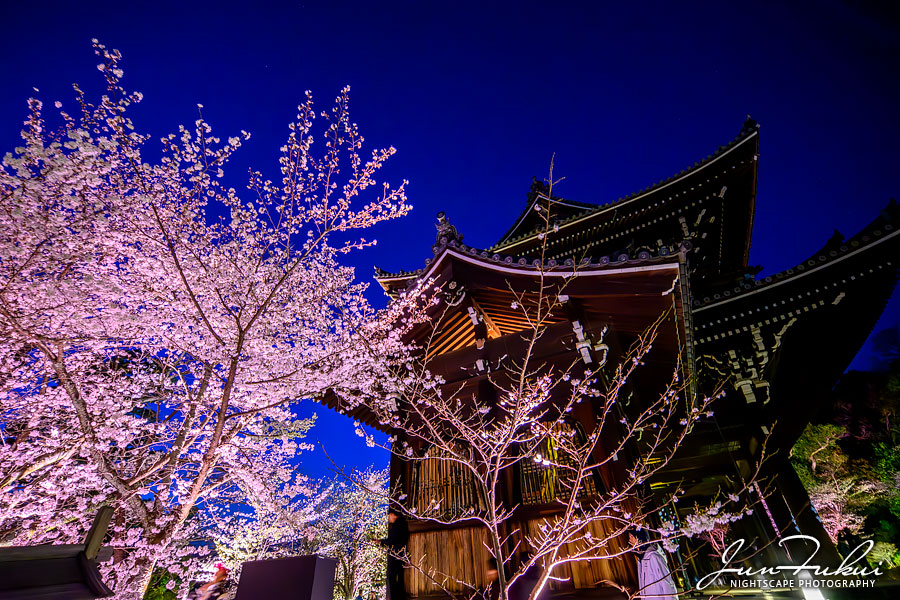 知恩院 ナイトスケープ