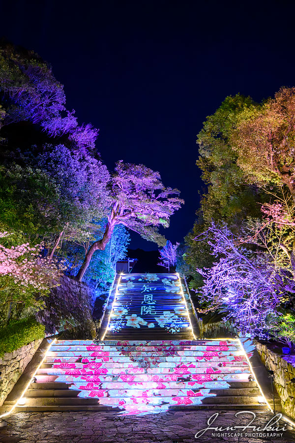 知恩院 ナイトスケープ