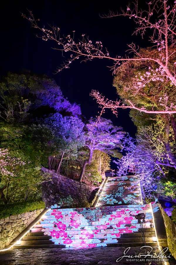 知恩院 ナイトスケープ