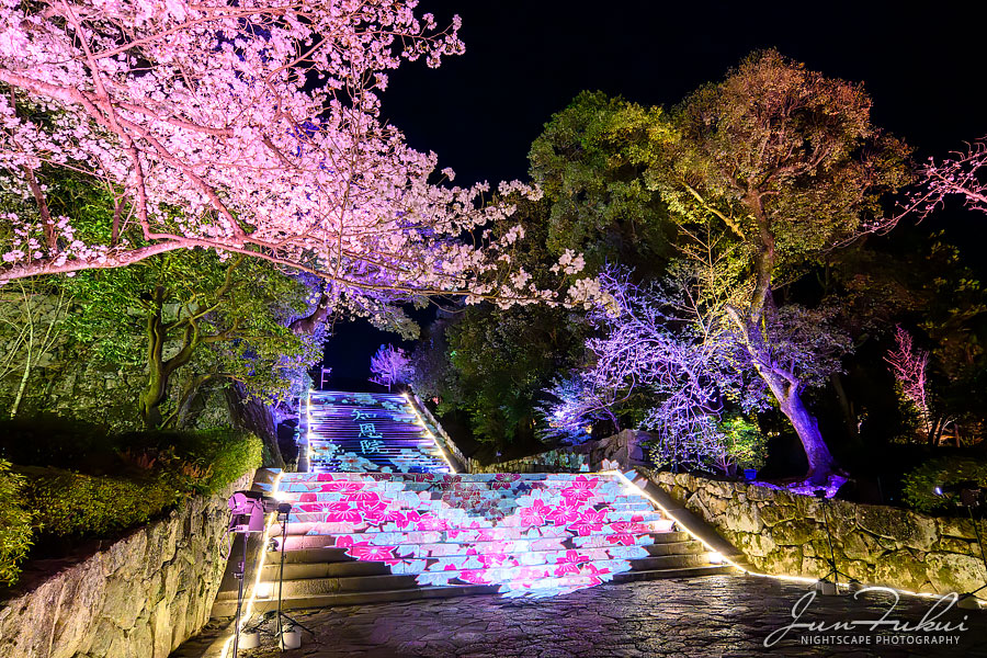 知恩院 ナイトスケープ