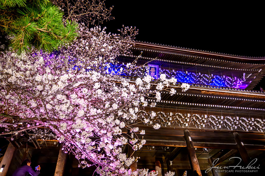 知恩院 ナイトスケープ