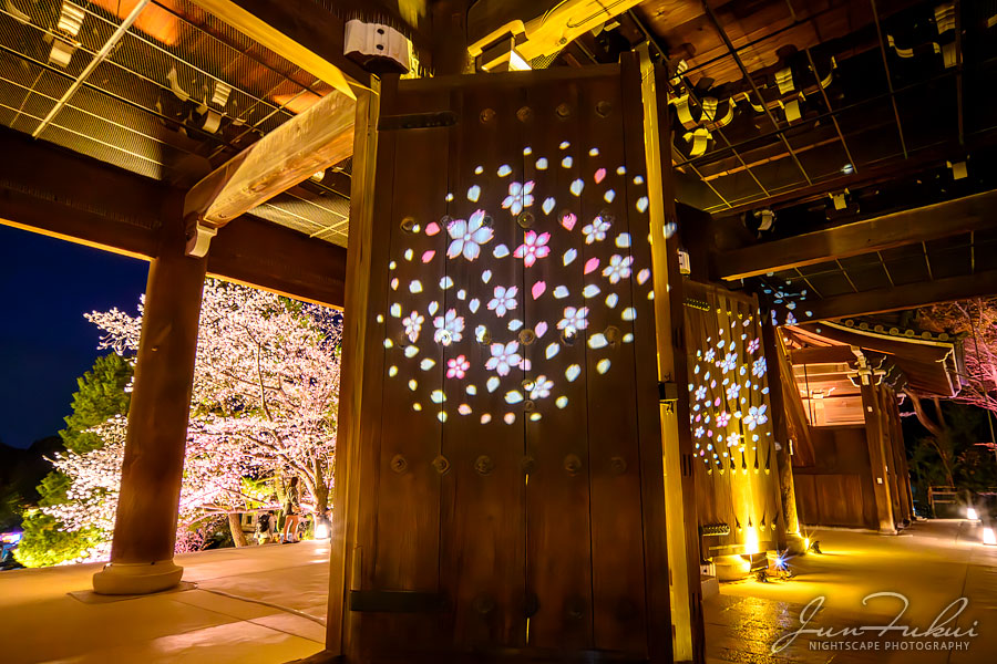 知恩院 ナイトスケープ