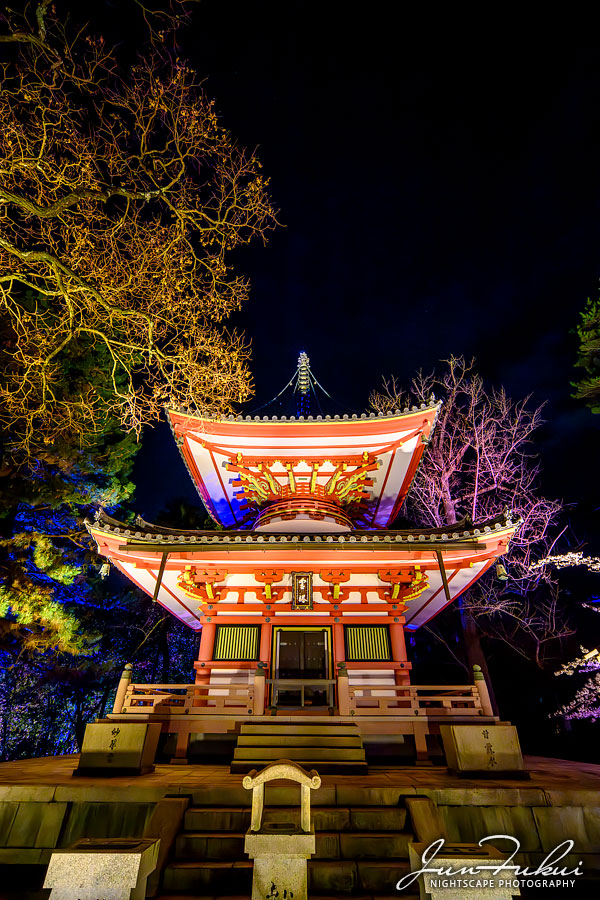 知恩院 ナイトスケープ