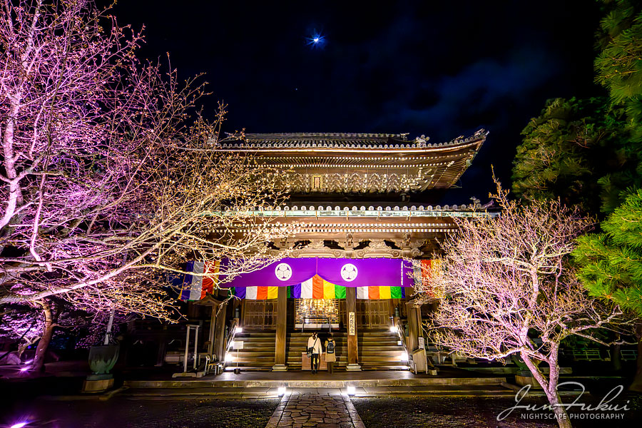 知恩院 ナイトスケープ