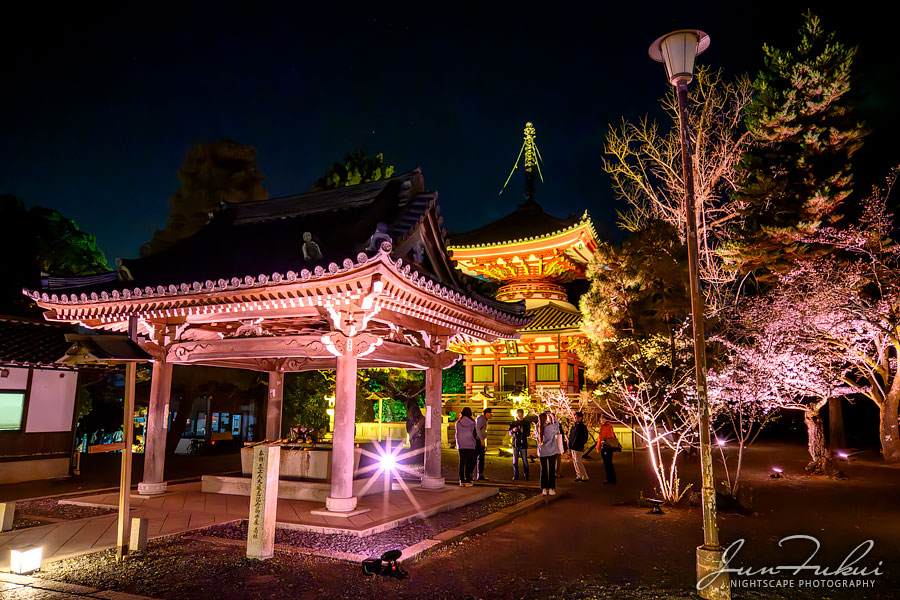 知恩院 ナイトスケープ