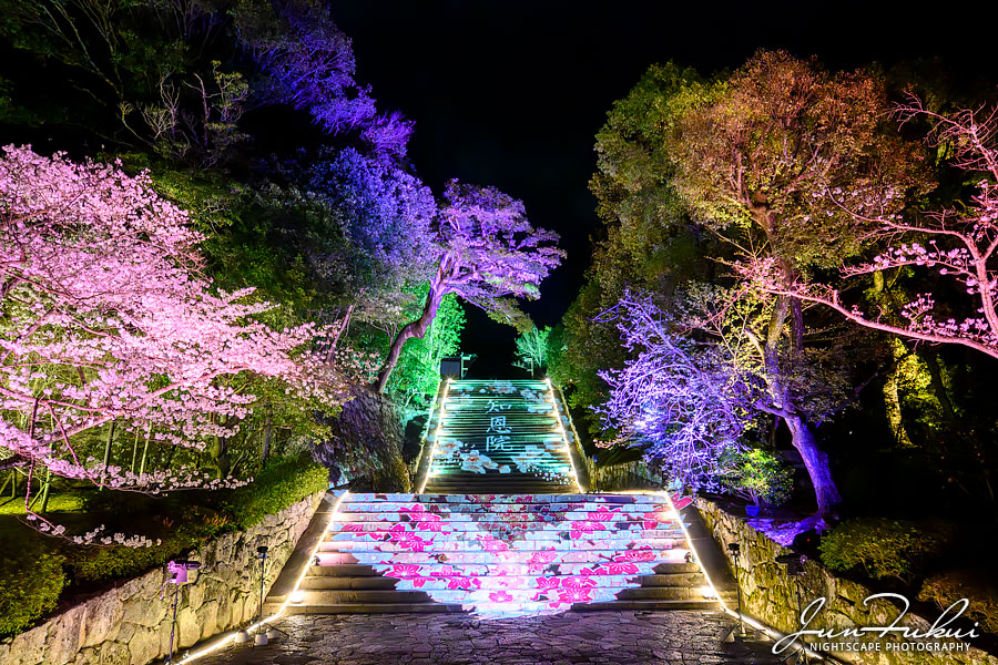 知恩院 ナイトスケープ