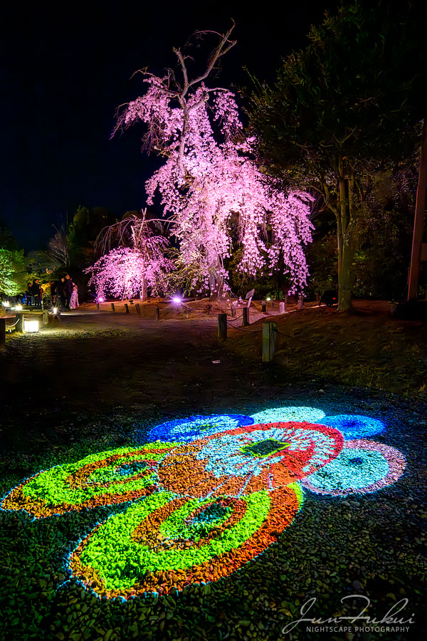 知恩院 ナイトスケープ