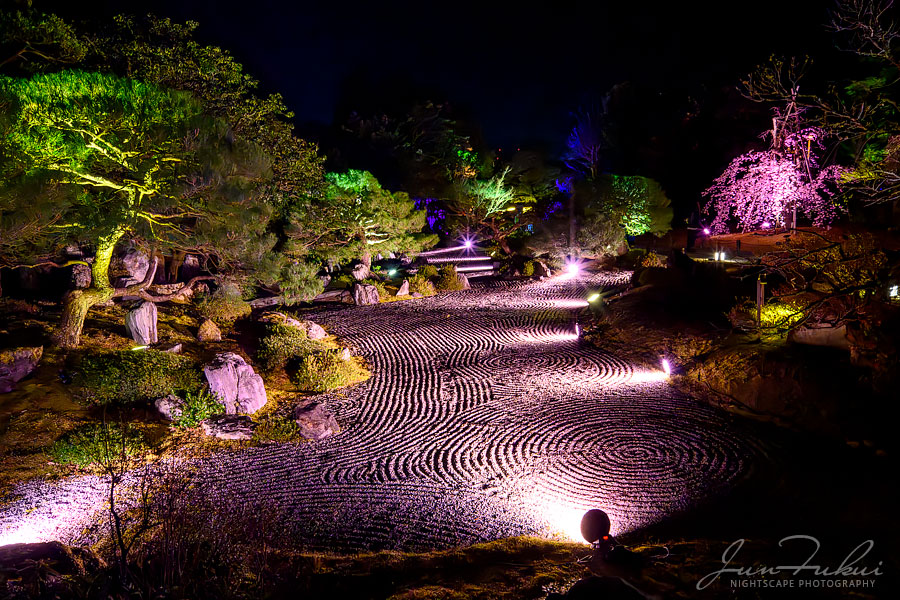 知恩院 ナイトスケープ