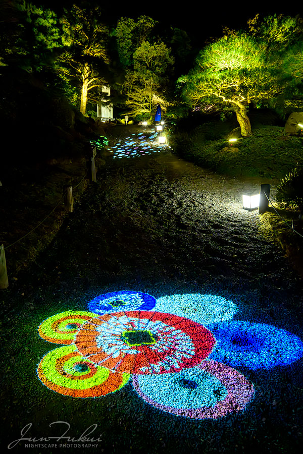 知恩院 ナイトスケープ