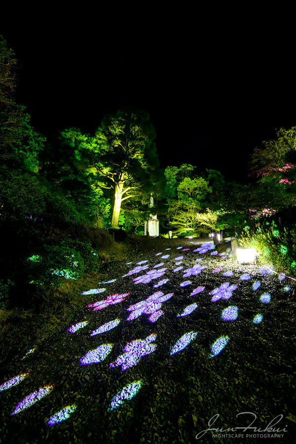 知恩院 ナイトスケープ