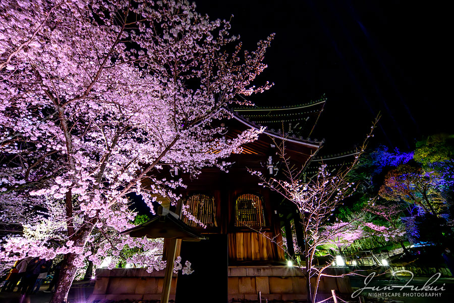 知恩院 ナイトスケープ