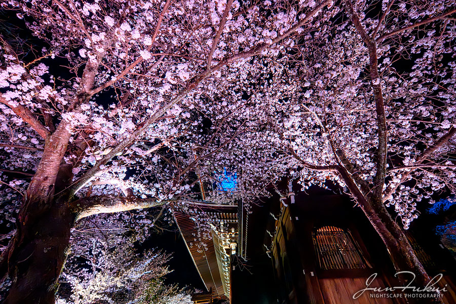 知恩院 ナイトスケープ