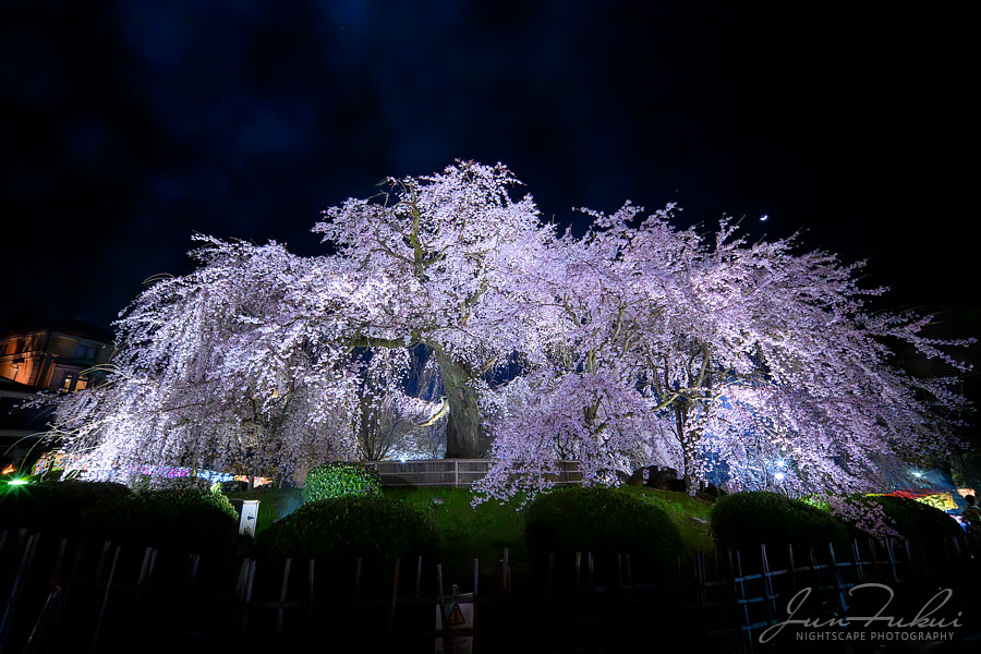 祇園 ナイトスケープ