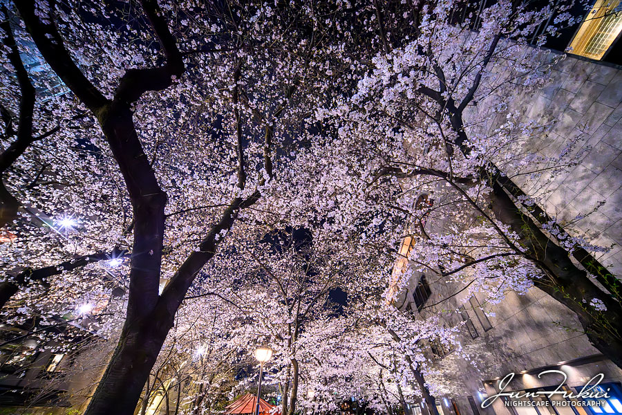 祇園 ナイトスケープ