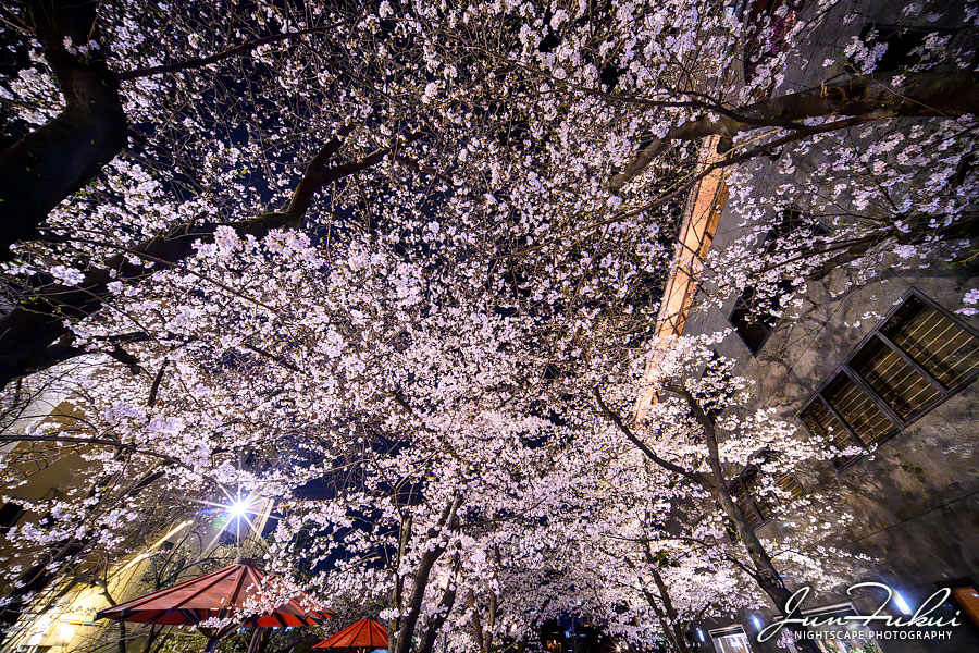 祇園 ナイトスケープ