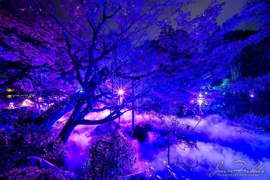 平安神宮 イルミネーション