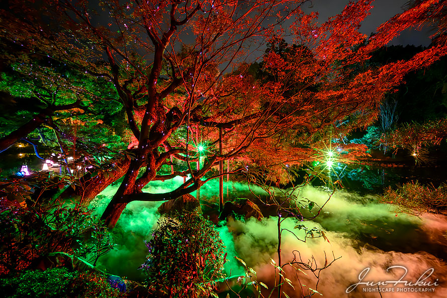 平安神宮 イルミネーション