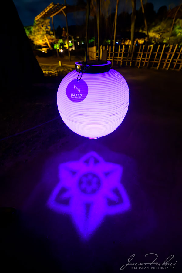 平安神宮 ナイトスケープ