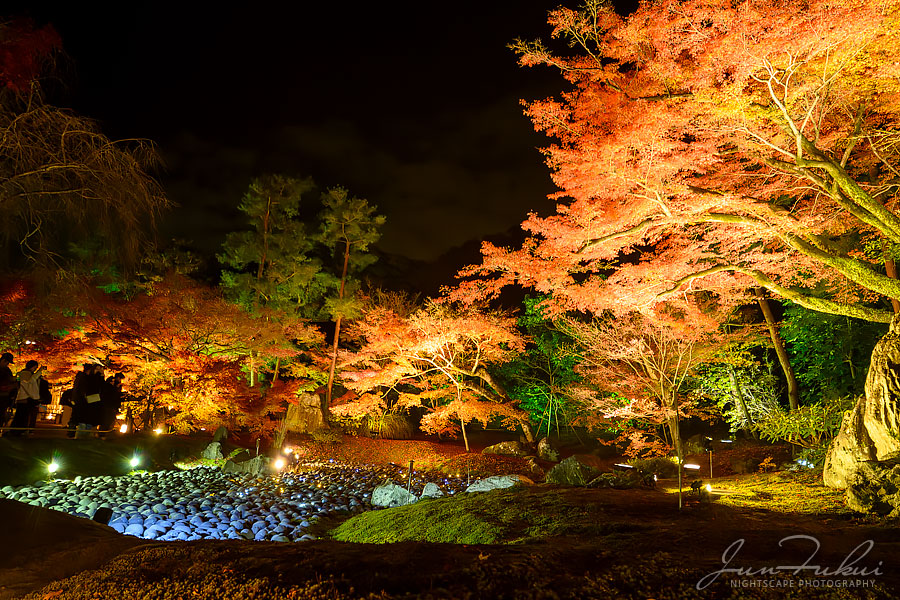 宝厳院 ナイトスケープ