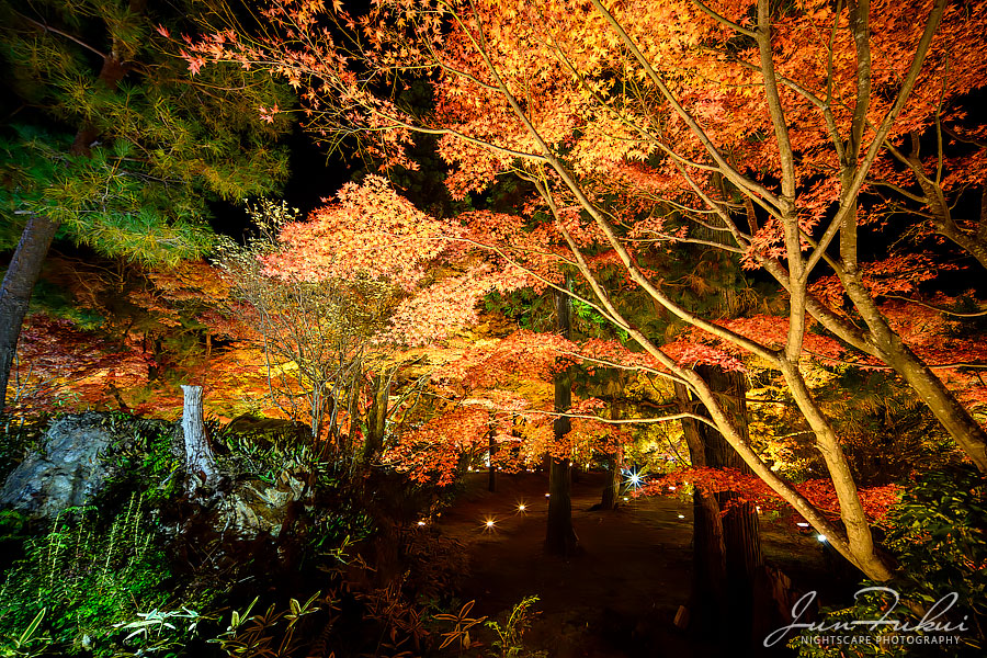 宝厳院 ナイトスケープ