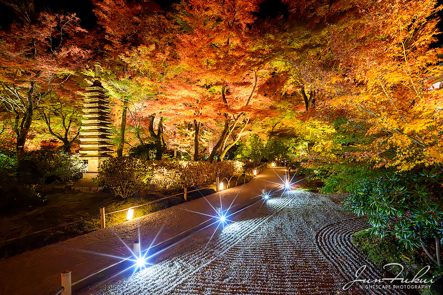 宝厳院 ナイトスケープ