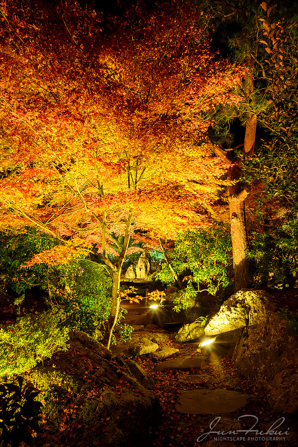 宝厳院 ナイトスケープ