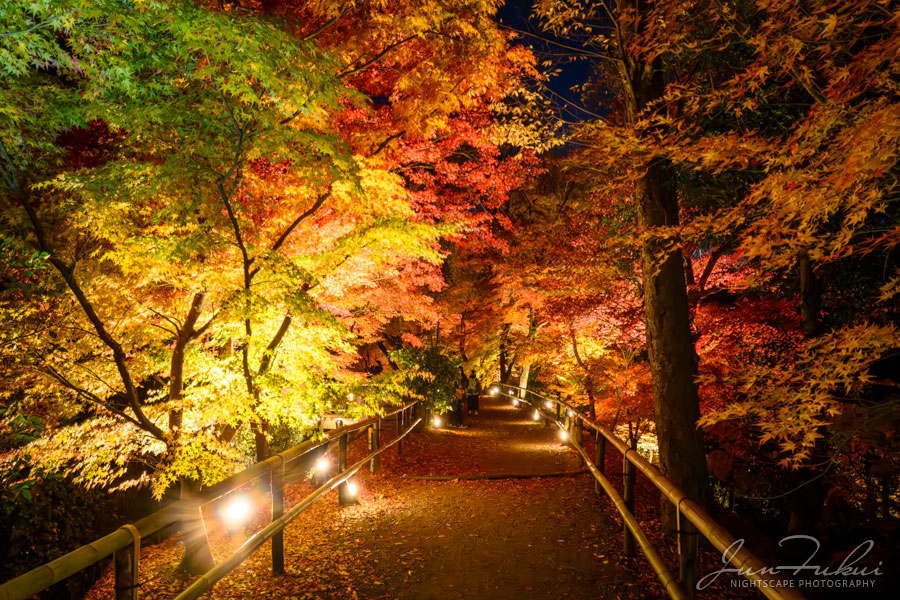 北野天満宮 ナイトスケープ