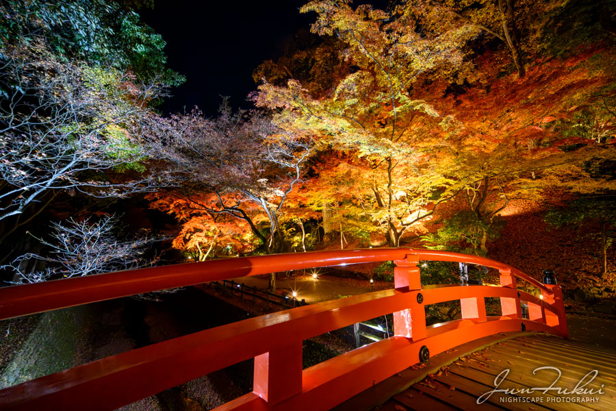 北野天満宮 ナイトスケープ