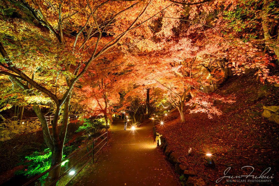 北野天満宮 ナイトスケープ