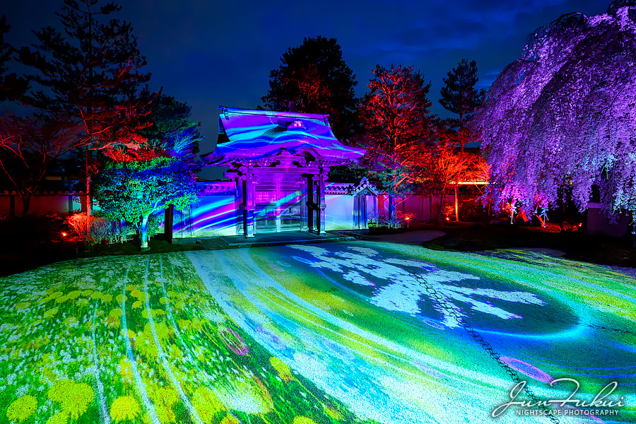 高台寺 ナイトスケープ