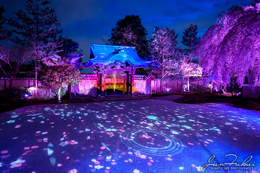 高台寺 ナイトスケープ