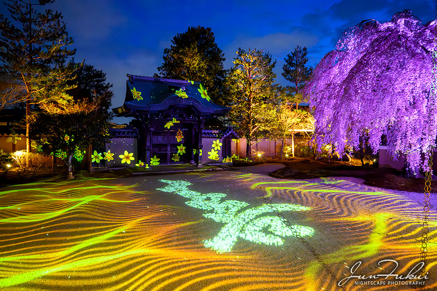 高台寺 ナイトスケープ