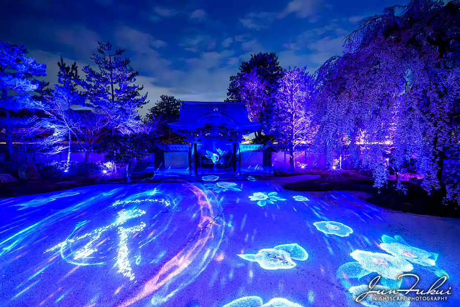 高台寺 ナイトスケープ